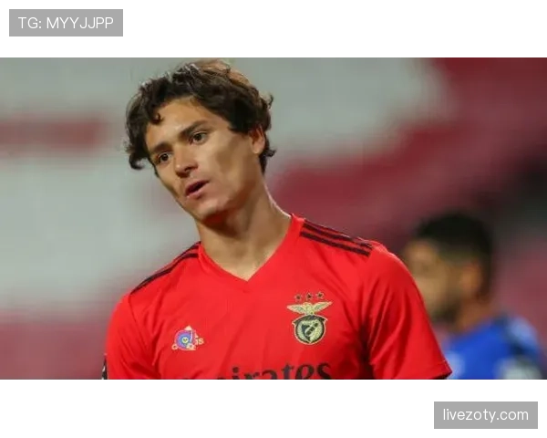 努涅斯与凯恩：全面中锋与冲击型前锋的战术角色对比