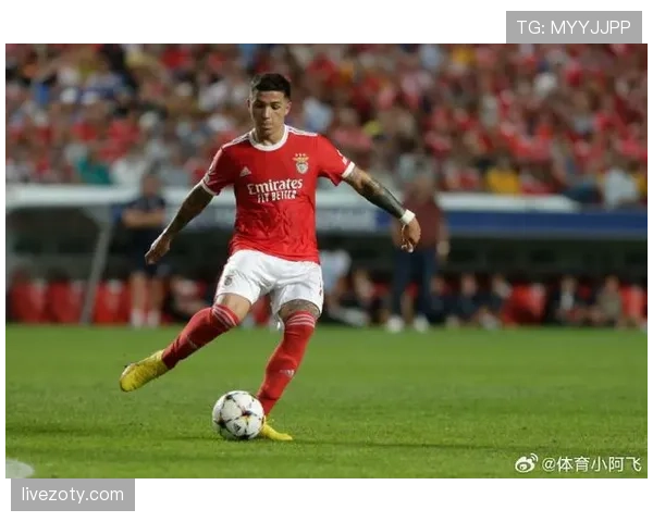 格里马尔多告别本菲卡：多年效力生涯终结