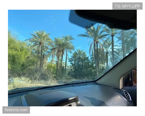 伊布又开豪车聚会了，这车摆在普通人家门口怕得心脏飙速了吧